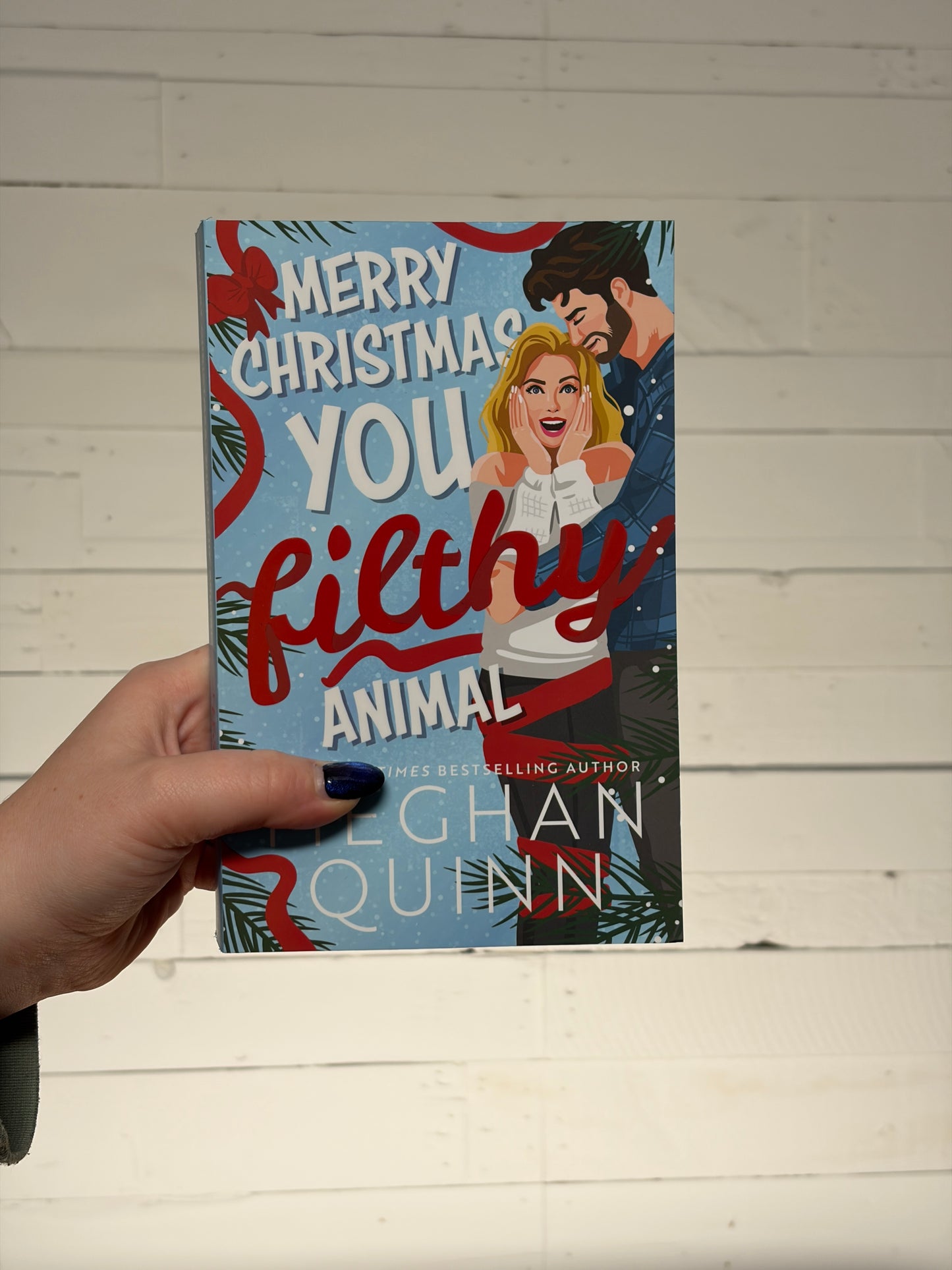 Merry Christmas You Filthy Animal