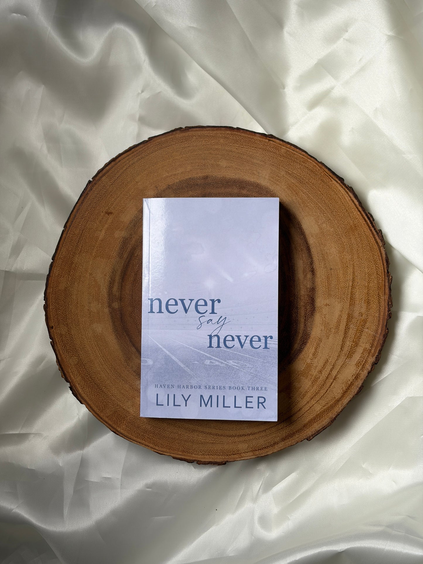 Never Say Never (Haven Harbor #3)