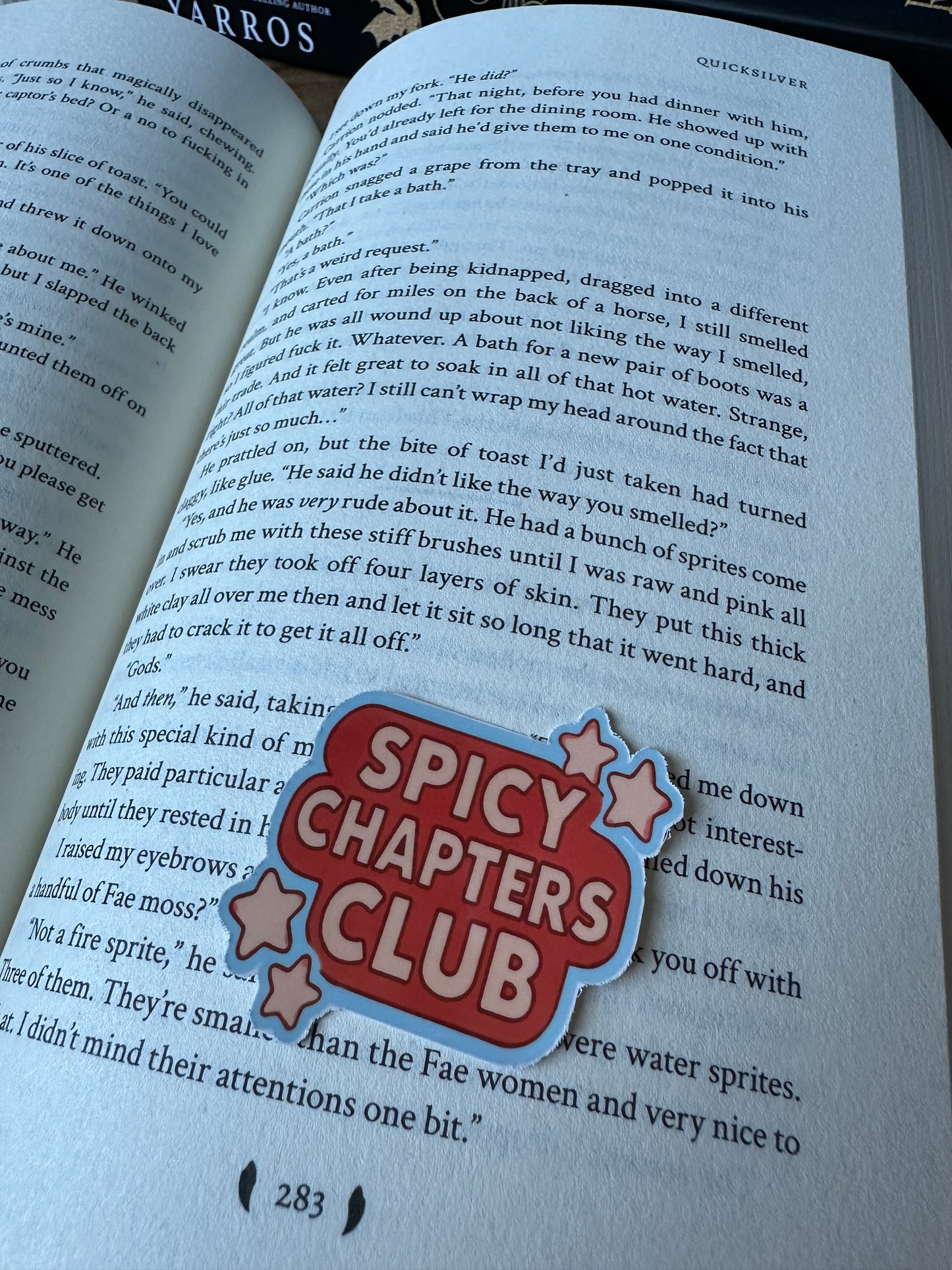 Bookish Stickers: Spicy Chapters Club