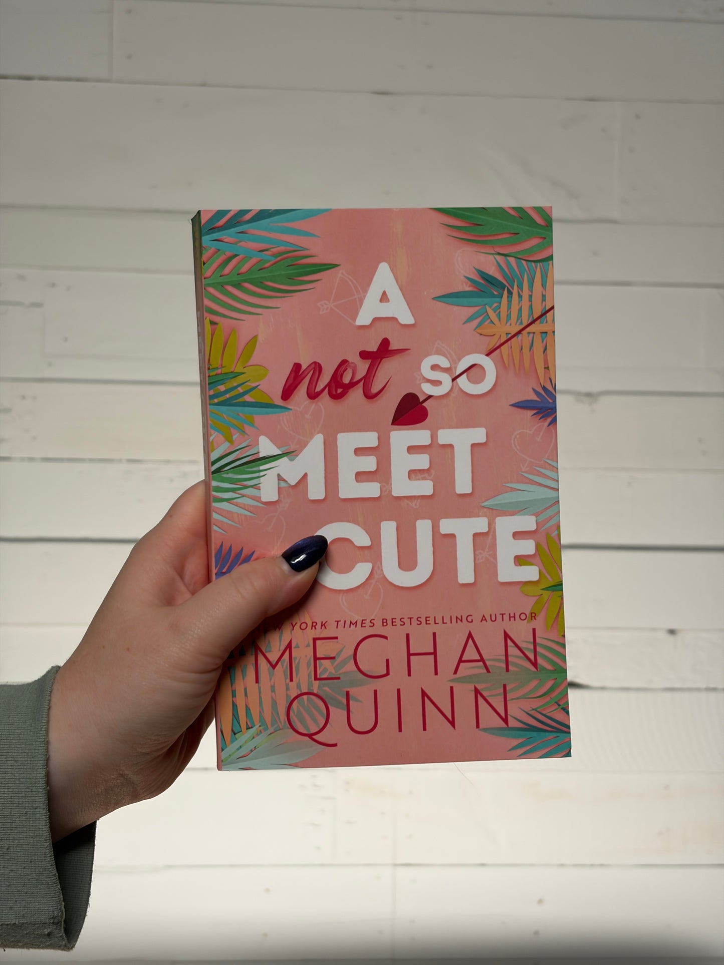 A Not So Meet Cute (Cane Brothers #1)