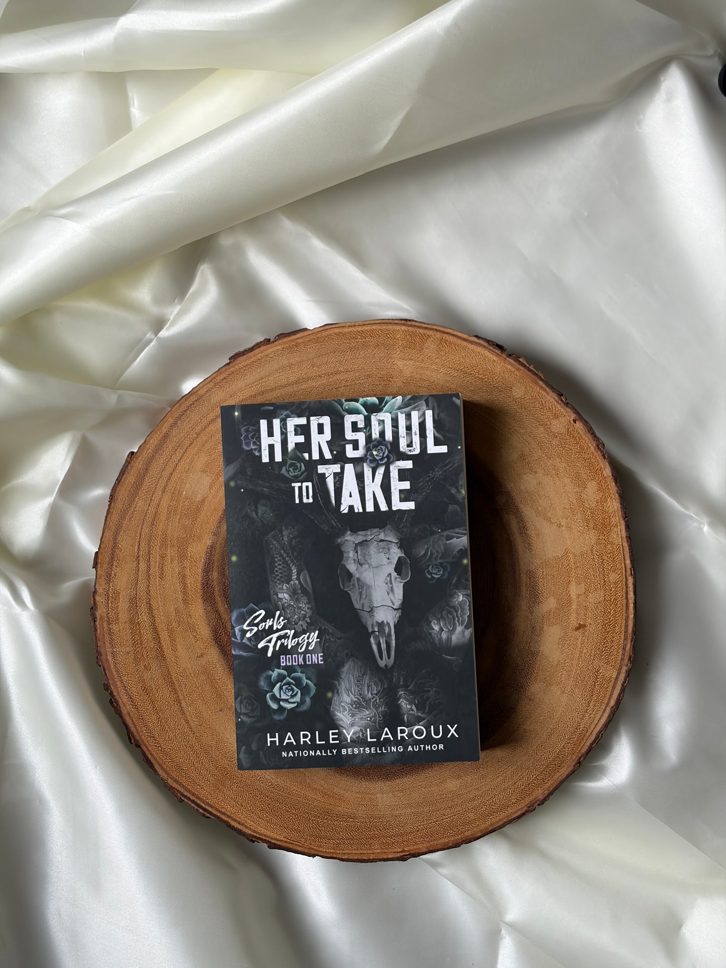 Her Soul to Take (Souls Trilogy #1)